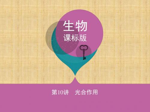 新课标高考生物一轮复习分子与细胞第3单元细胞的代谢第10讲光合作用名师课件必修