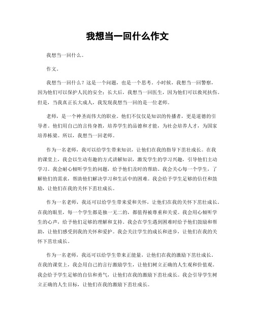 我想当一回什么作文