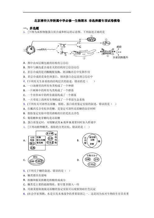 北京清华大学附属中学必修一生物期末 非选择题专项试卷模卷