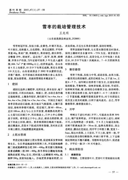 雪枣的栽培管理技术