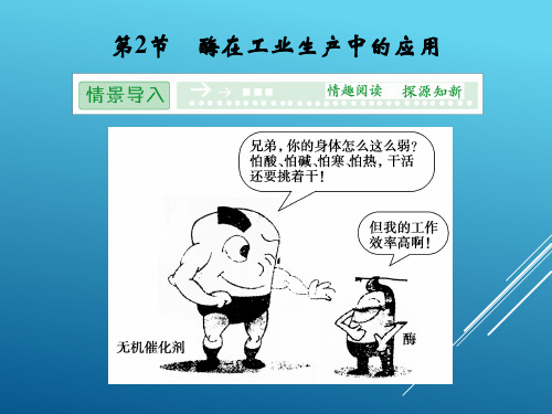 人教版2017年高中生物酶在工业生产中的应用选修2课件