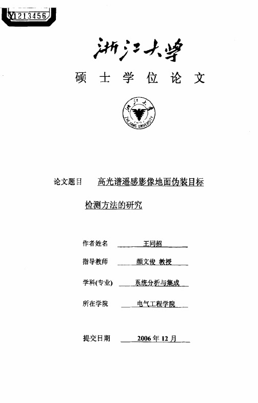 高光谱遥感影像地面伪装目标检测方法的研究