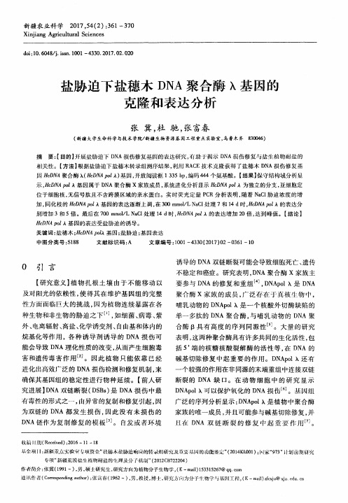 盐胁迫下盐穗木DNA聚合酶λ基因的克隆和表达分析