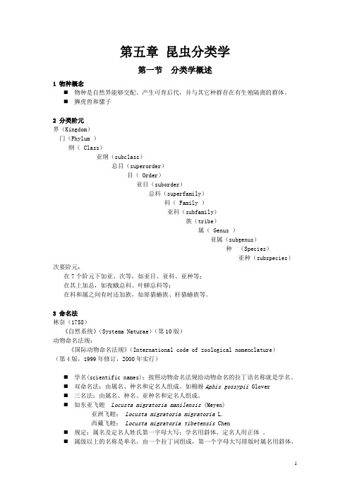 昆虫分类学