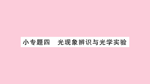 第4章  小专题四 光现象辨识与光学实验—2020年秋教科版物理八年级上册课时作业课件