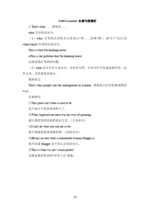 北师大版高中英语必修1 Unit1_Lesson4_长难句型精析