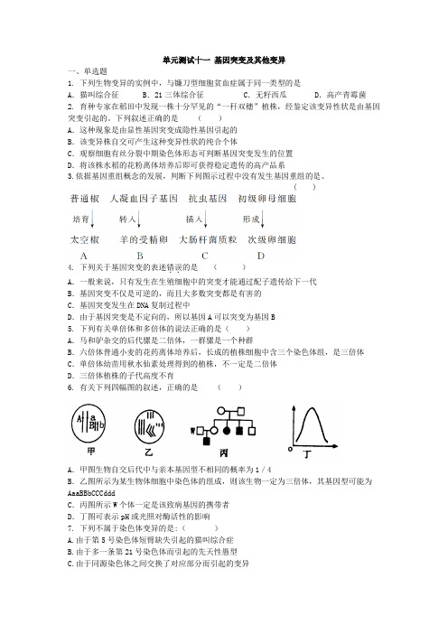 2012年高考生物单元测试题及答案：基因突变及其他变异