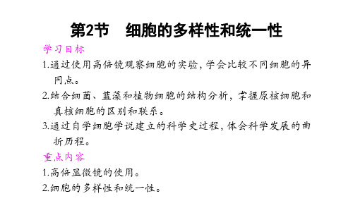 高中生物 人教版 必修1  1.2细胞的多样性和统一性 课件   