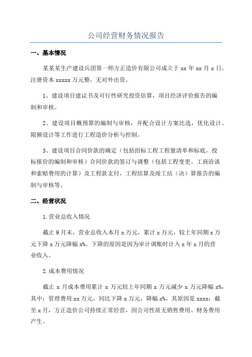 公司经营财务情况报告