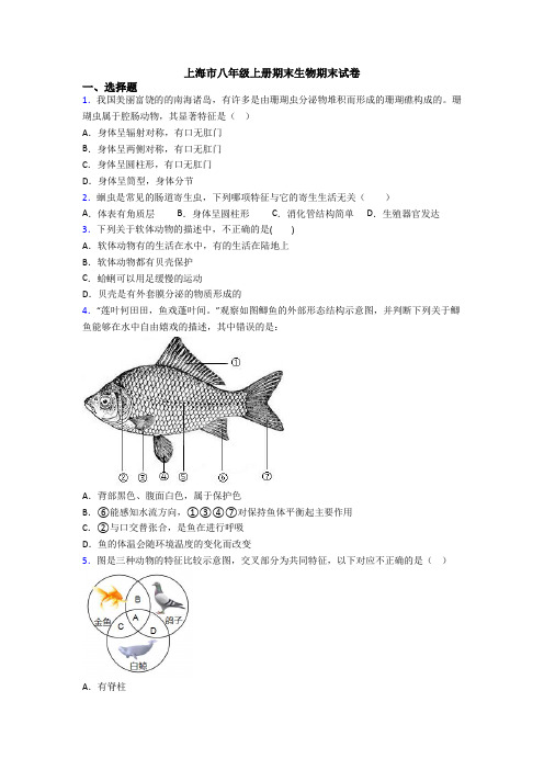 上海市八年级上册期末生物期末试卷