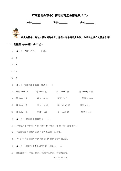 广东省汕头市小升初语文精选易错题集(二)