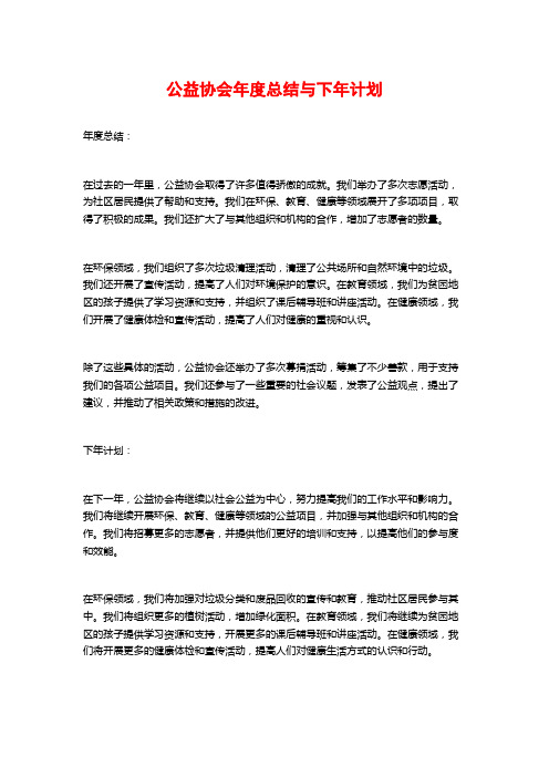 公益协会年度总结与下年计划