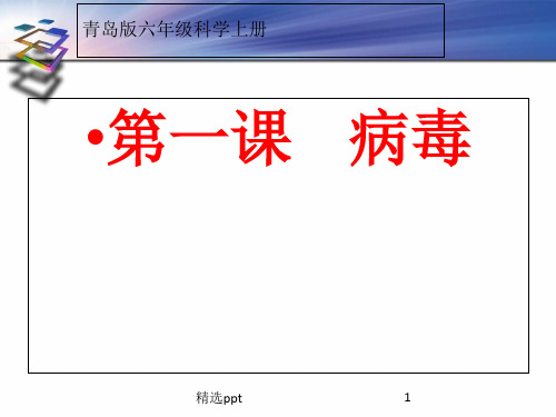 青岛版科学六年级上1、病毒 (2)学习ppt课件