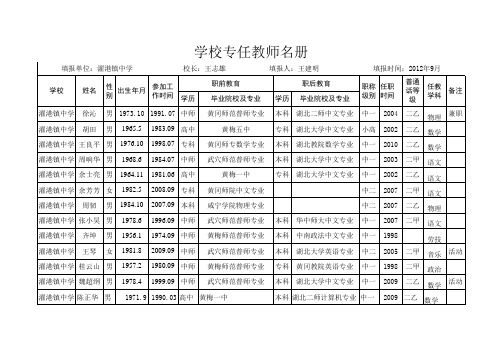 学校专任教师基本情况统计样表