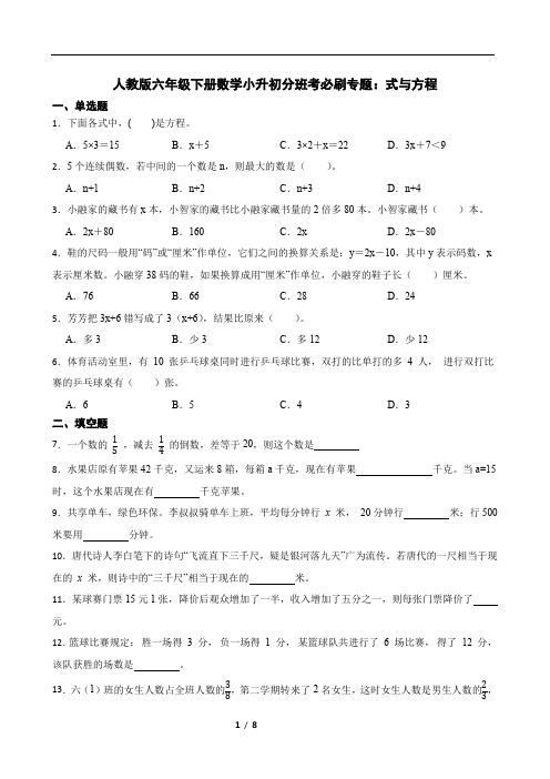 人教版六年级下册数学小升初分班考必刷专题：式与方程