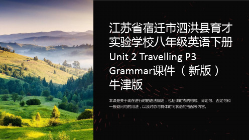 江苏省宿迁市泗洪县育才实验学校八年级英语下册 Unit 2 Travelling P3 Gramma