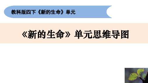 小学科学四下《新的生命》单元思维导图整理