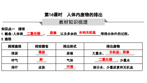 2023年生物中考一轮复习第16课时 人体内废物的排出(鲁科版)