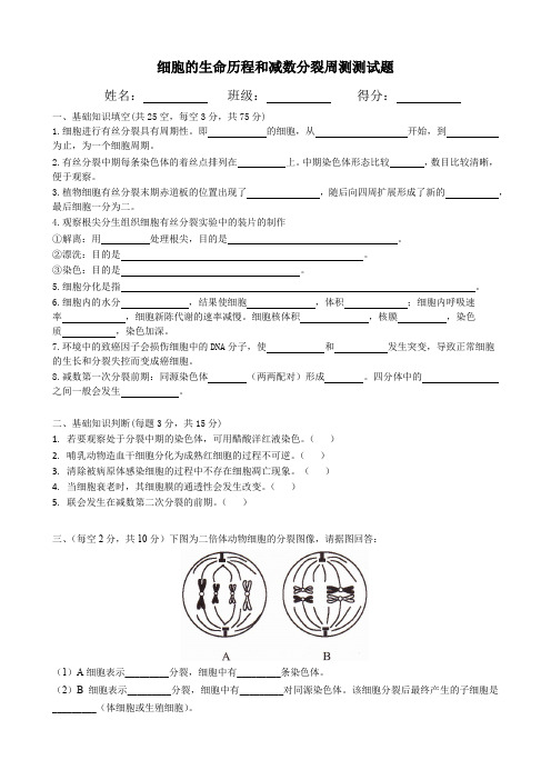 细胞的生命历程和减数分裂周测测试题及参考答案