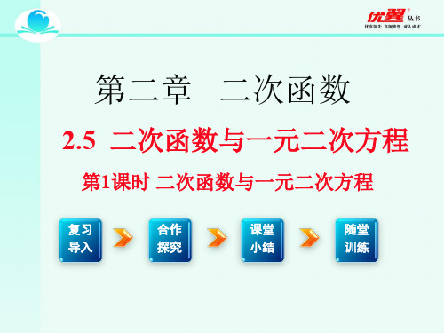 北师大版九年级下册数学第二章 二次函数2.5  二次函数与一元二次方程第1课时 二次函数与一元二次方程课件