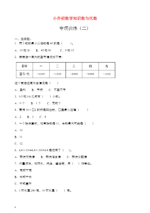 2019-2020学年小升初数学知识数与代数专项训练(二)【推荐】.docx