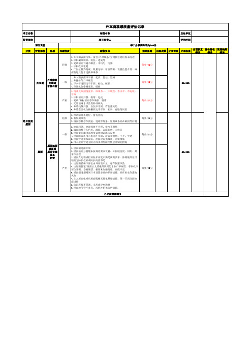 2020年毛坯项目交房评估表之外立面观感质量评估记录表