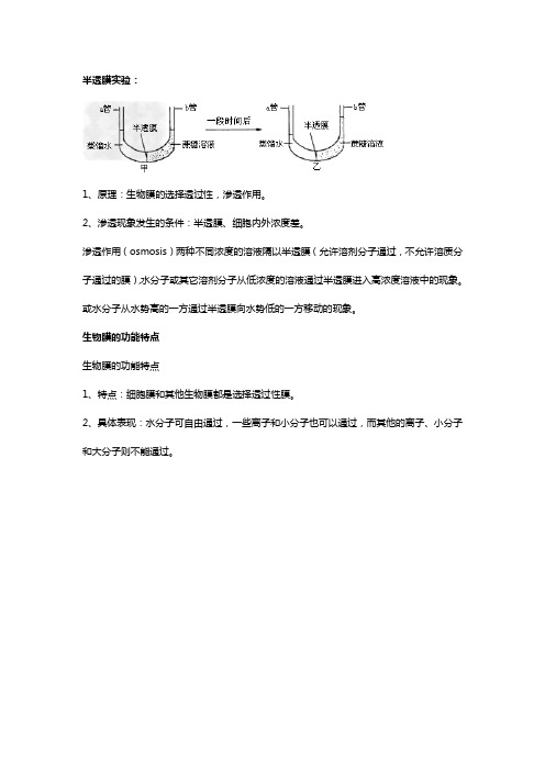 半透膜实验