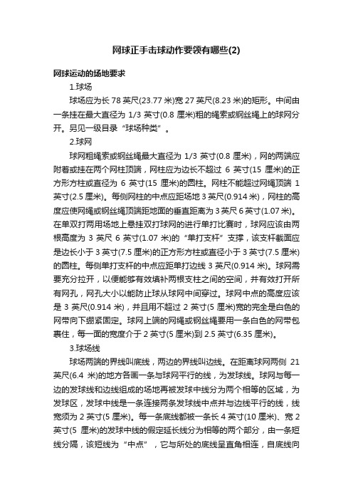 网球正手击球动作要领有哪些（2）