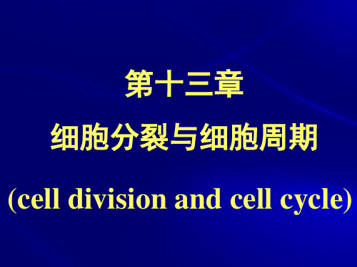 《细胞生物学》教学课件：13 细胞分裂与细胞周期