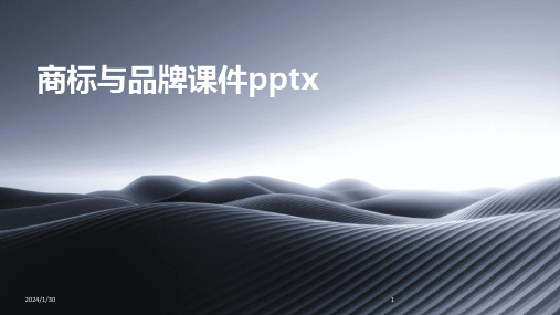 商标与品牌课件pptx