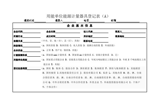 用能单位能源计量器具登记表