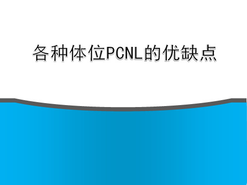 (精品) 各种体位PCNL的优缺点 PPT课件