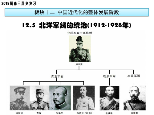 2019年高考一轮复习 北洋军阀的统治