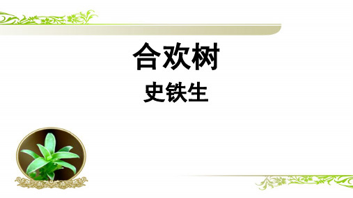 八年级语文下学期翻转课堂教学课件4《合欢树》