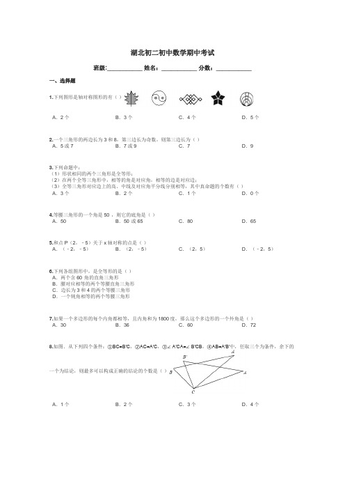 湖北初二初中数学期中考试带答案解析
