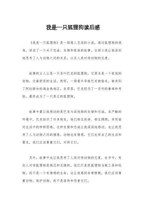 我是一只狐狸狗读后感