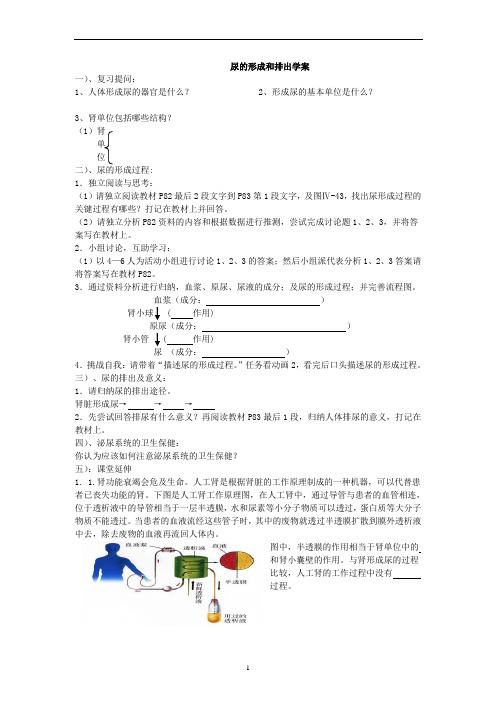 尿的形成和排出学案