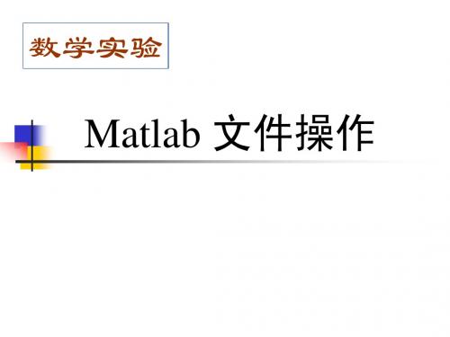 Matlab文件操作