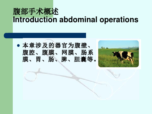 兽医外科学课件：腹部手术