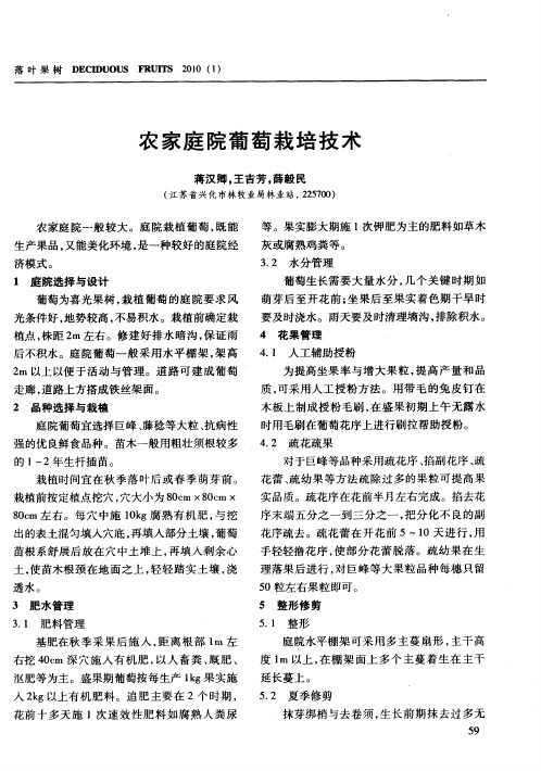 农家庭院葡萄栽培技术