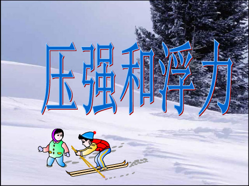 中考总复习压强和浮力精品PPT课件