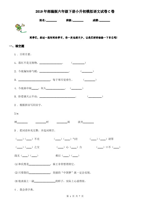 2019年部编版六年级下册小升初模拟语文试卷C卷