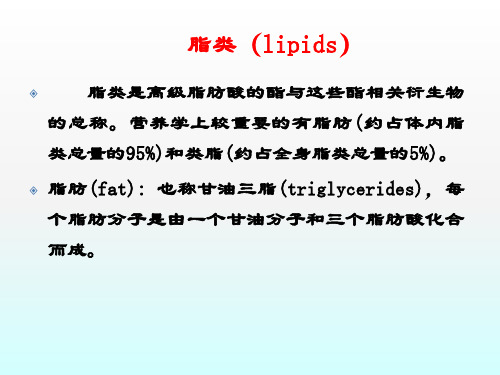 脂类