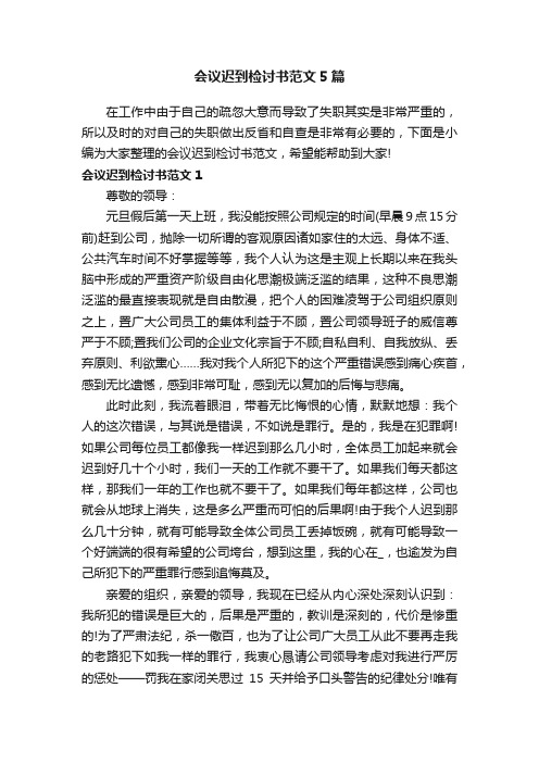 会议迟到检讨书范文5篇