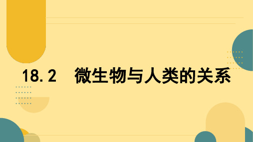 〖生 物〗微生物与人类的关系-2024-2025学年八年级生物上册(北师大版)