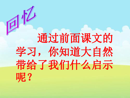 【小学语文】四年级语文下课件：大自然的启示