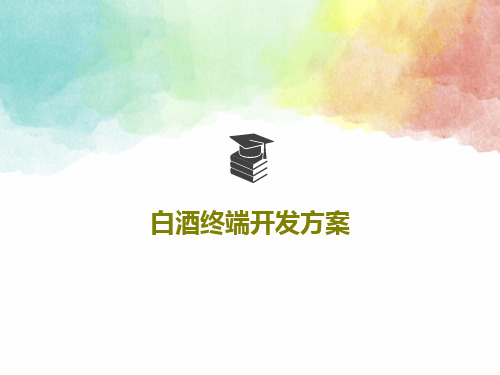 白酒终端开发方案共20页PPT