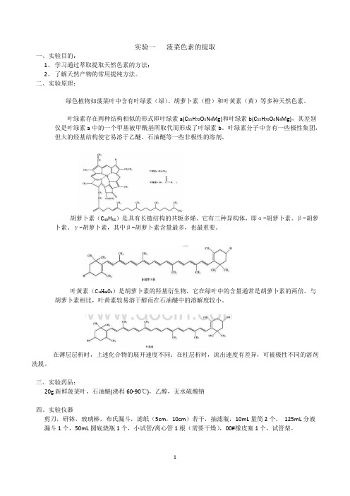 1实验一、菠菜色素的提取