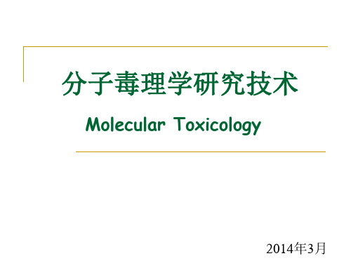 分子毒理学(2014)