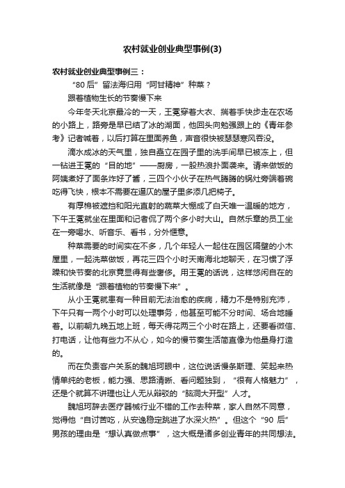 农村就业创业典型事例（3）